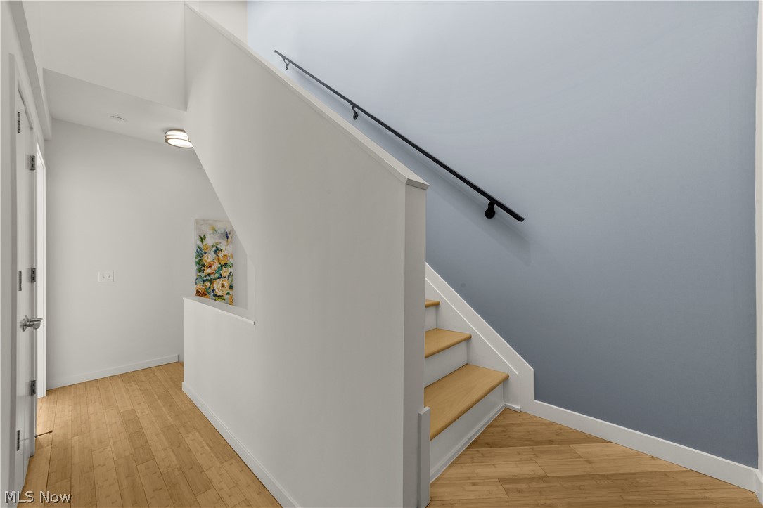 Little Italy - Residential