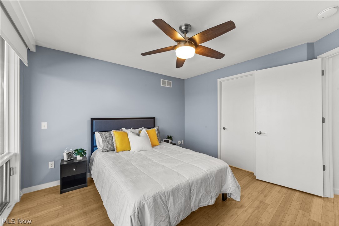 Little Italy - Residential