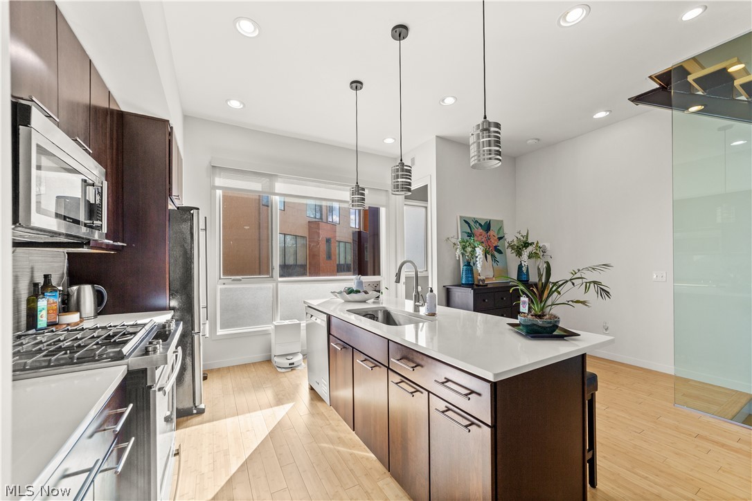 Little Italy - Residential