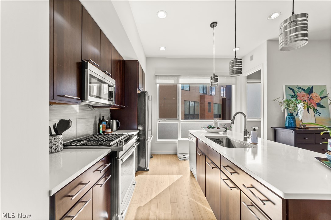 Little Italy - Residential