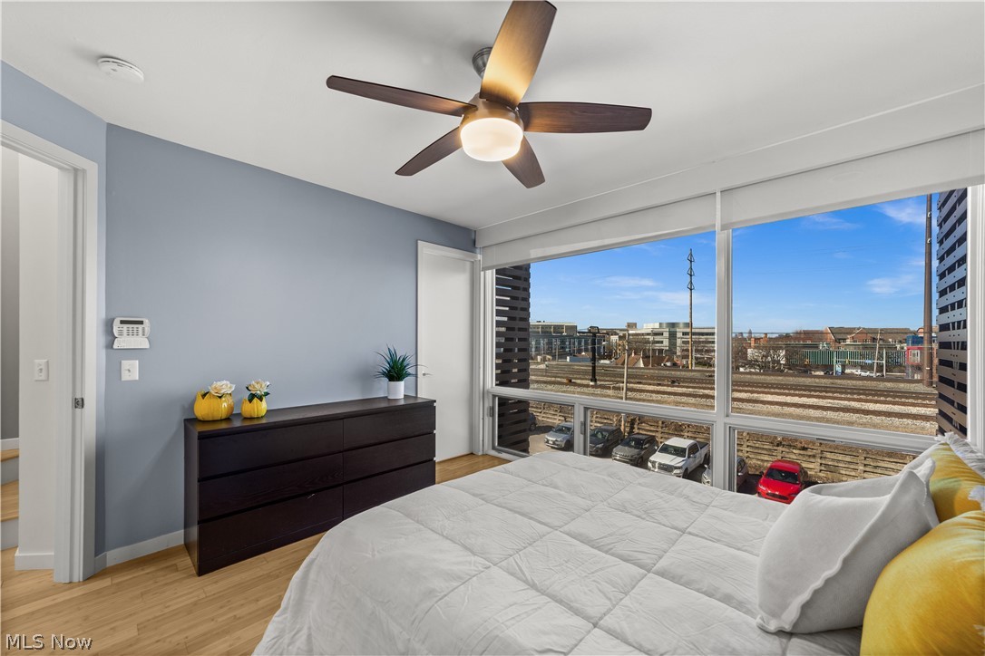 Little Italy - Residential