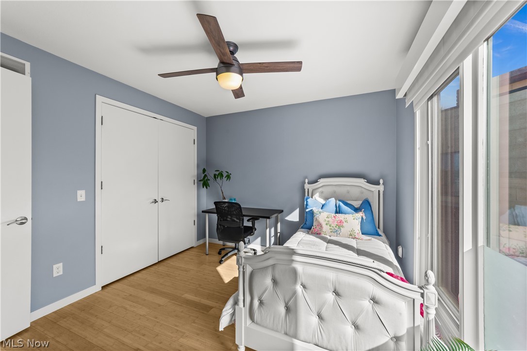 Little Italy - Residential