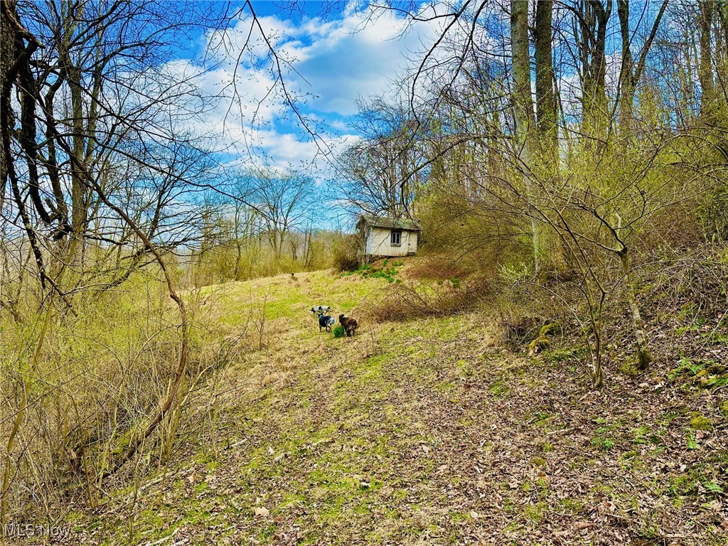 View Grantsville, WV 26147 property