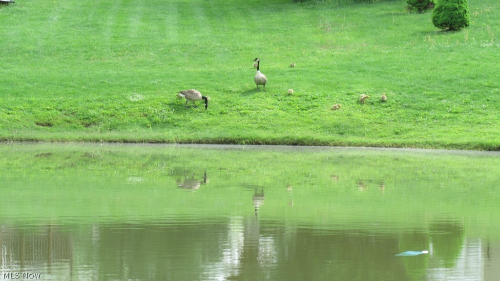 Stone Meadow Run - Residential