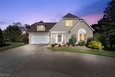 10393 N Pond Lane Twinsburg OH 44087