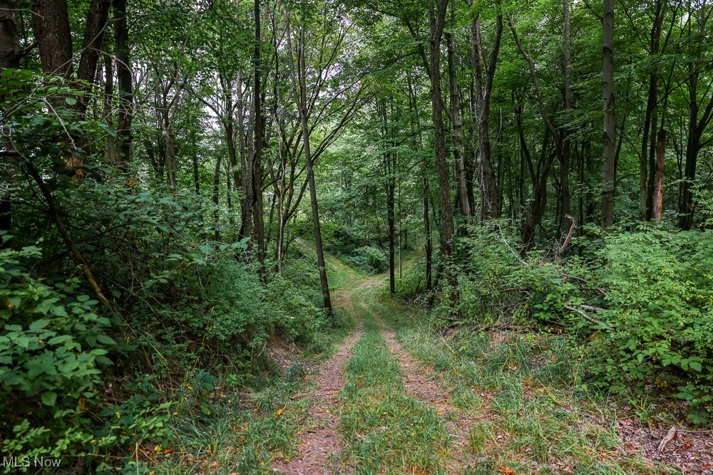 Day Avenue, Navarre, Ohio image 17