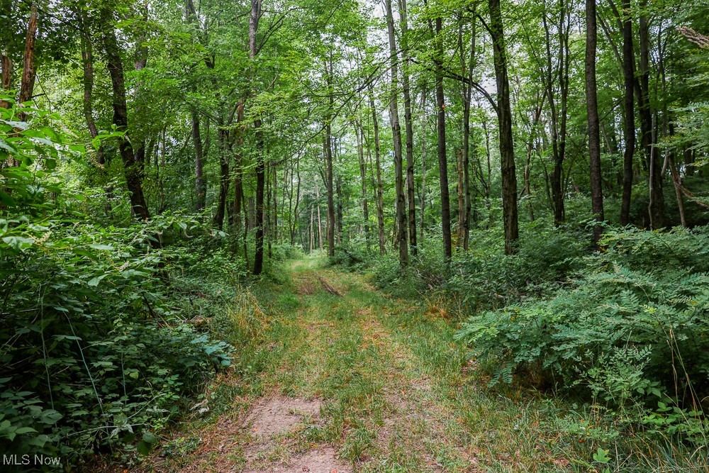 Day Avenue, Navarre, Ohio image 20