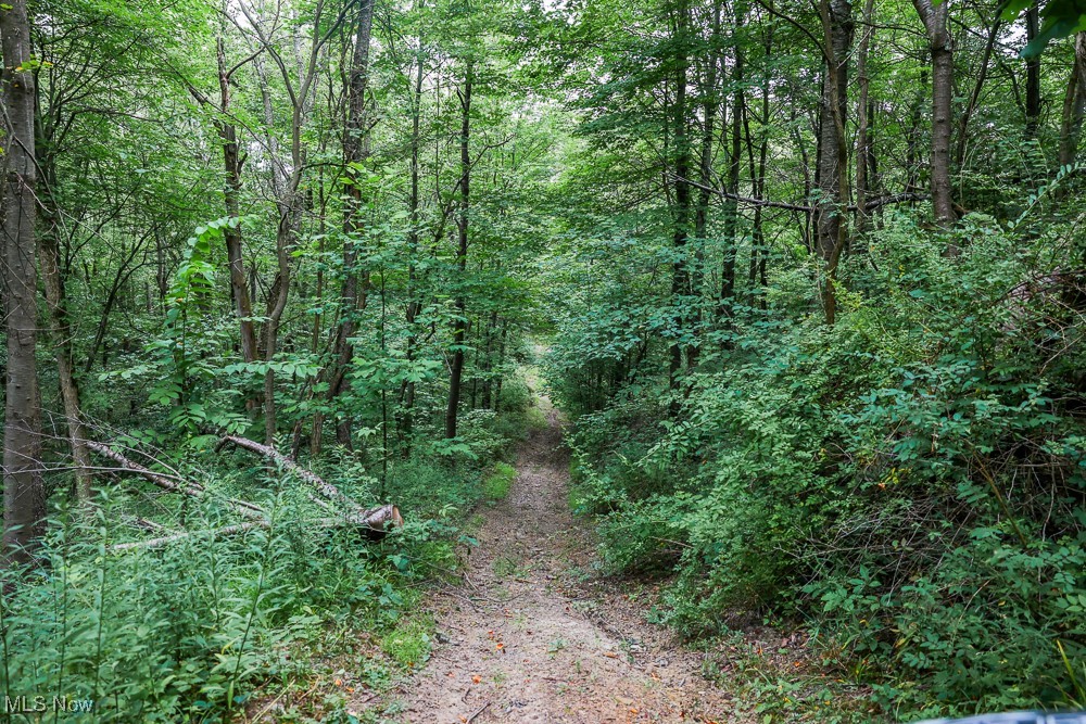 Day Avenue, Navarre, Ohio image 16