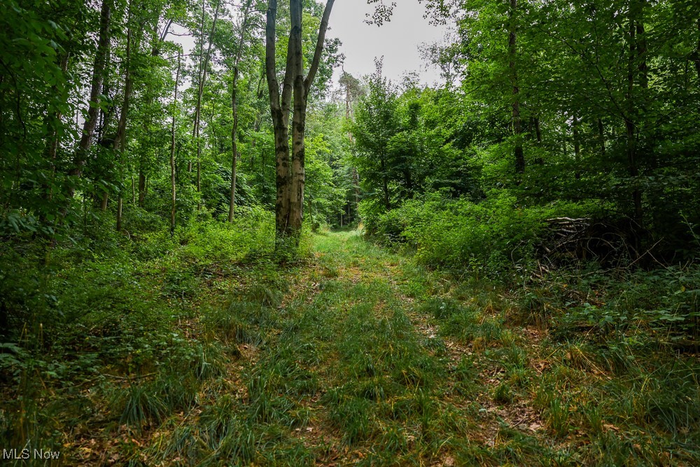 Day Avenue, Navarre, Ohio image 9