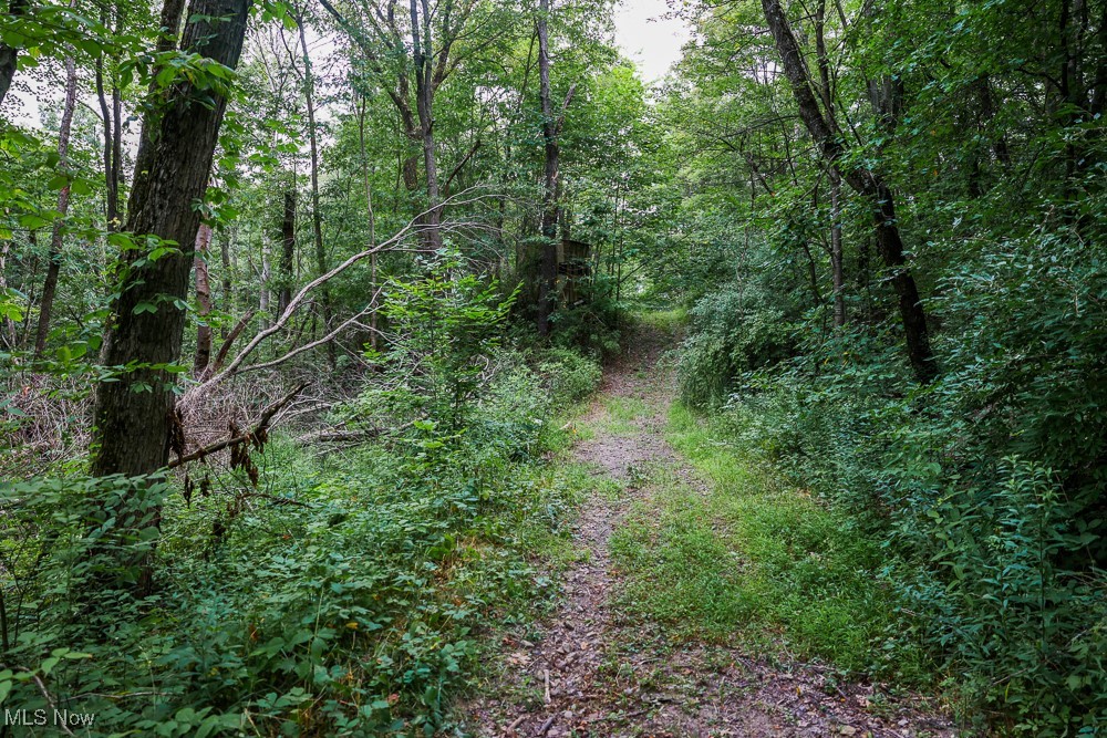 Day Avenue, Navarre, Ohio image 14