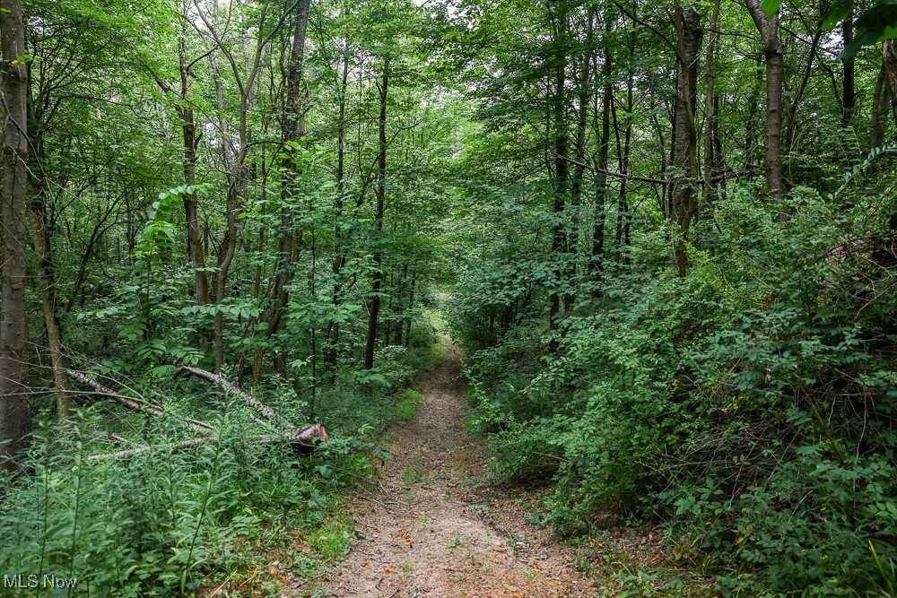 Day Avenue, Navarre, Ohio image 15