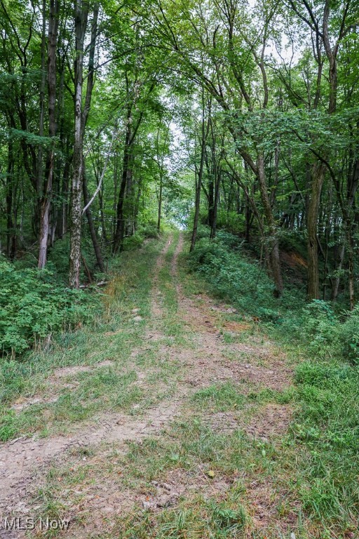 Day Avenue, Navarre, Ohio image 18