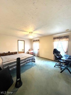 59148  59136 Martha Drive, Byesville, Ohio image 17