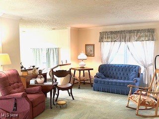 59148  59136 Martha Drive, Byesville, Ohio image 11