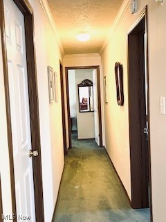 59148  59136 Martha Drive, Byesville, Ohio image 15