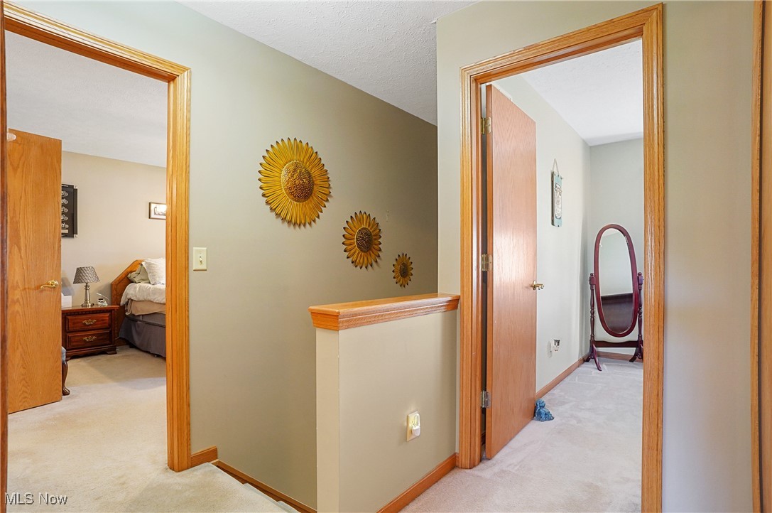 803 Collins Pond Drive, Ravenna, Ohio image 31