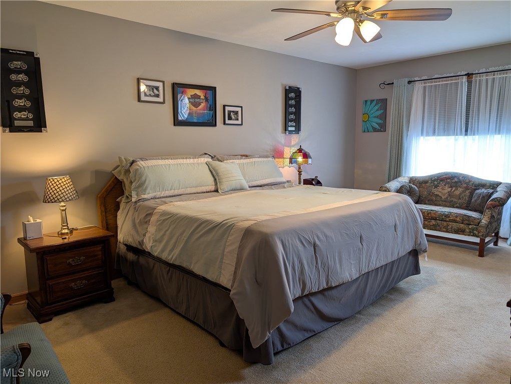 803 Collins Pond Drive, Ravenna, Ohio image 20