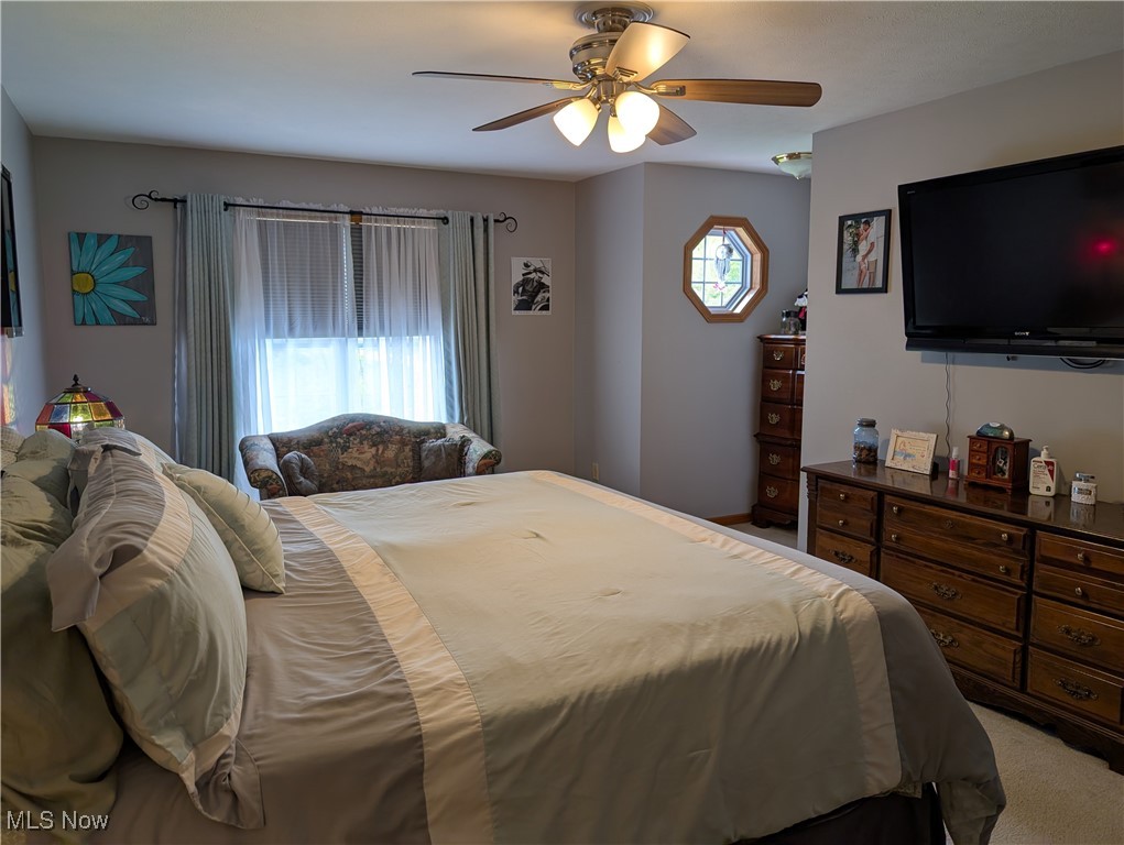 803 Collins Pond Drive, Ravenna, Ohio image 21