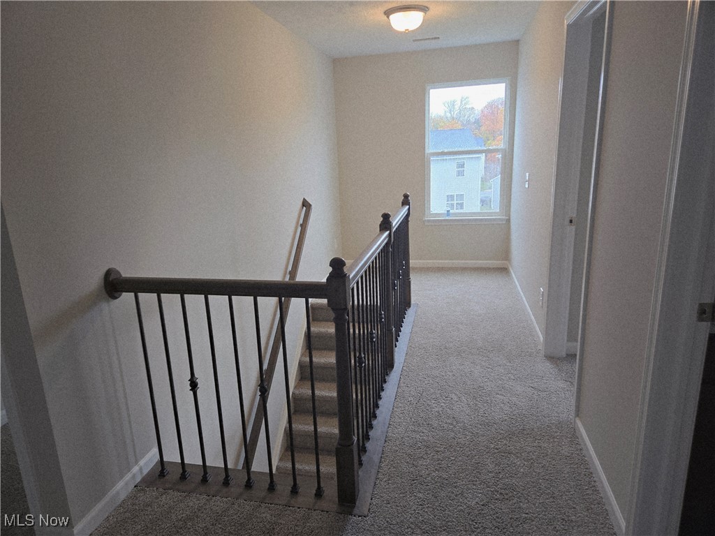 Enclave at Forest Lakes - Residential