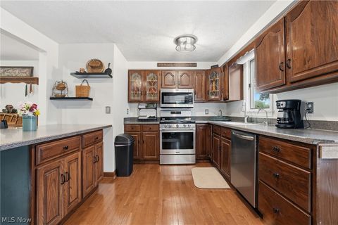 Tiny photo for 175 Henn Hyde Road NE, Howland, OH 44484 (MLS # 5210586)