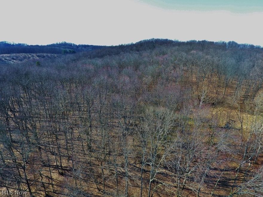 35.5 beautiful wooded acres await the outdoorsman for hunting, 4 wheelers or just being one with nature. Plenty of wildlife. There is an oil well on the property with free gas available to the owner of this property for a home. There are some trails throughout the property as well. The minerals are leased to the company that owns the well but those mineral rights will transfer to the new owner. This property is listed also with an additional 2 acres and a 3 bedroom home (search for 7023 Roswell Road). There is a service road for the oil well which you can use to access the property.