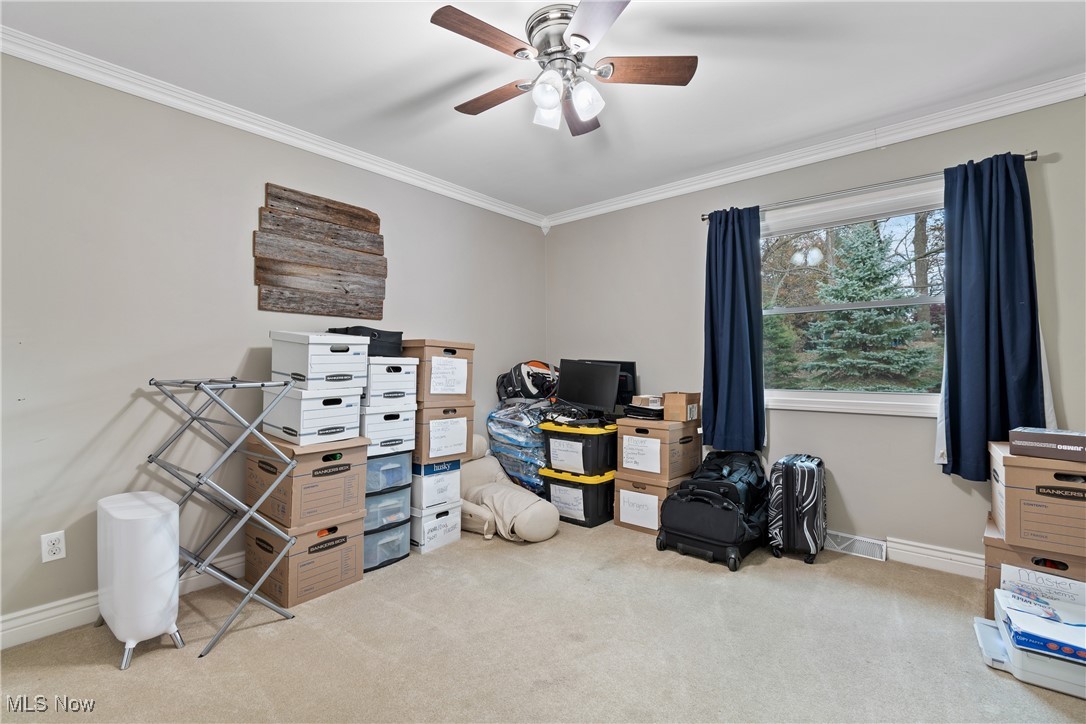 Nineteenth Green Allotment - Residential