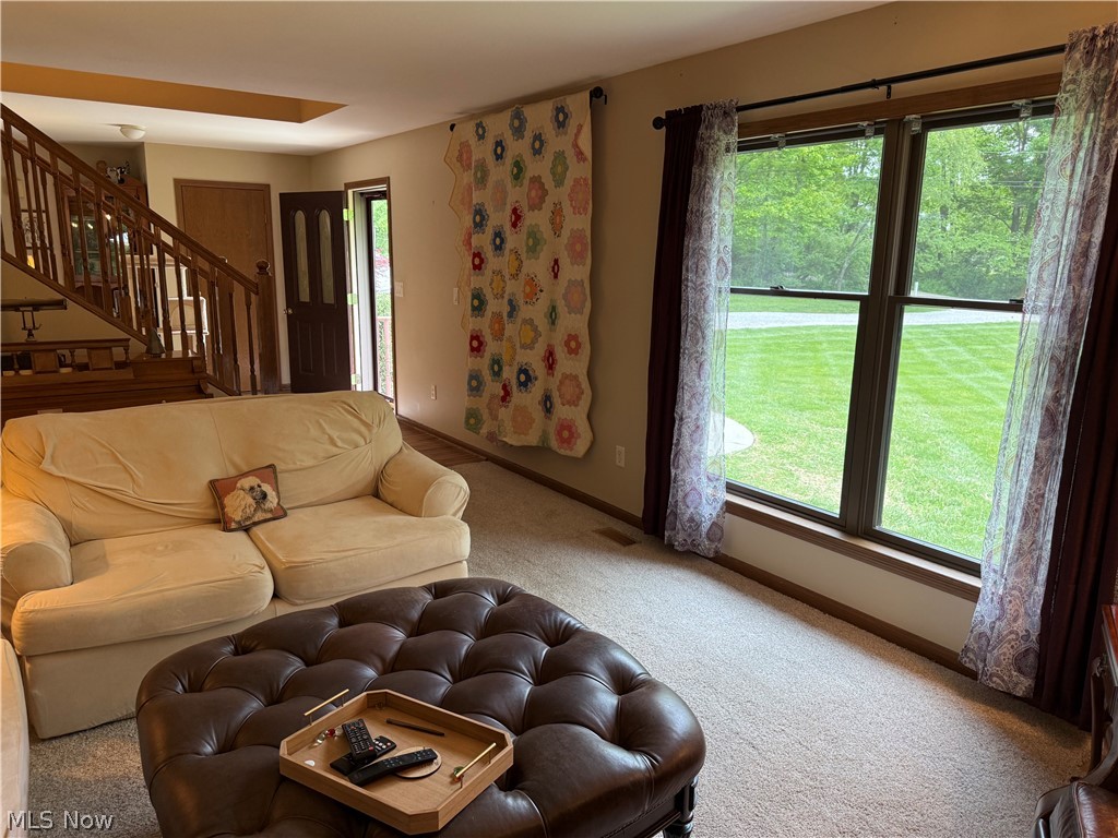 Lake Buckhorn - Residential