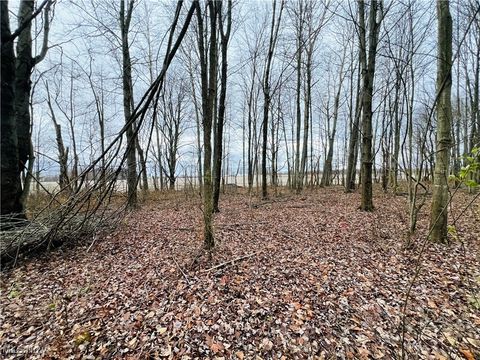 Vacant Land For Sale - 00 Kinsman Knickerson Road<br/> Kinsman, OH 44428