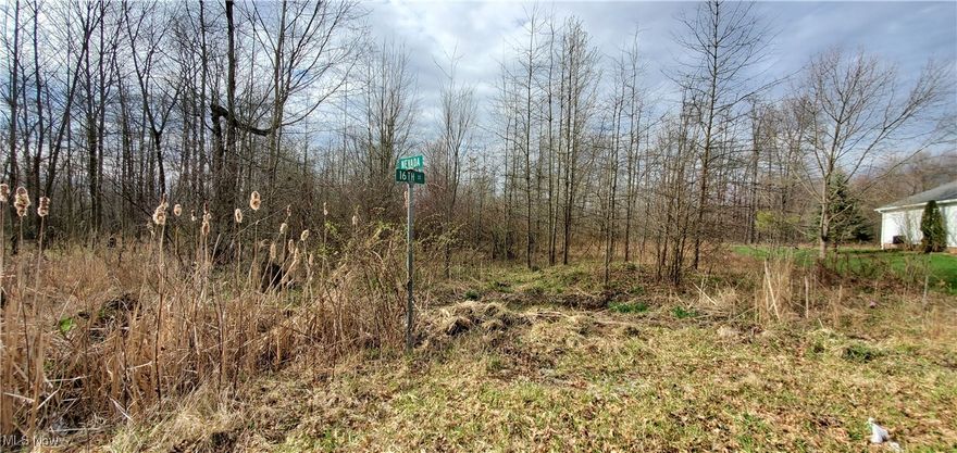 There are so many possibilities for this beautiful wooded property.  One of three available lots for sale, all in differing sizes.