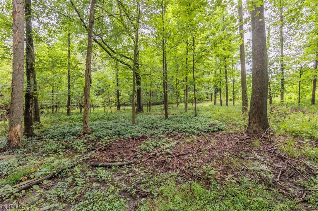 Rolling Ridge - Residential