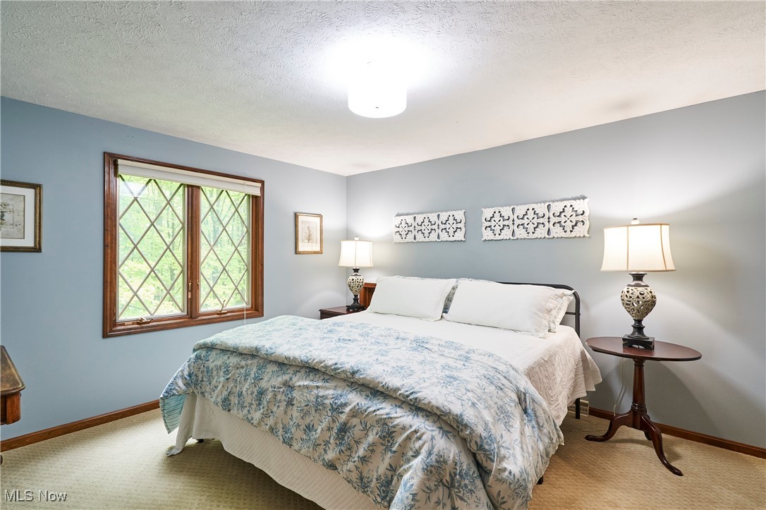 5074 Tall Timbers Drive, Richfield, Ohio image 22