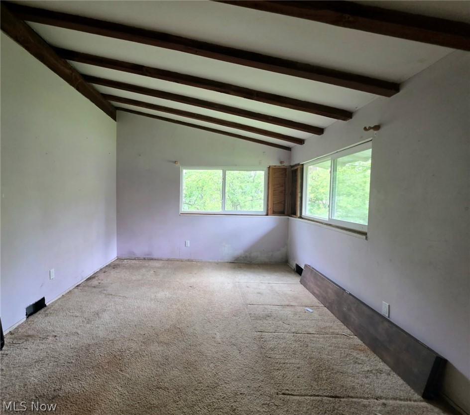 Chagrin Heights - Residential