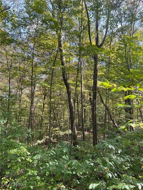Tiny photo for Pipa, Pleasant City, OH 43772 (MLS # 5158231)