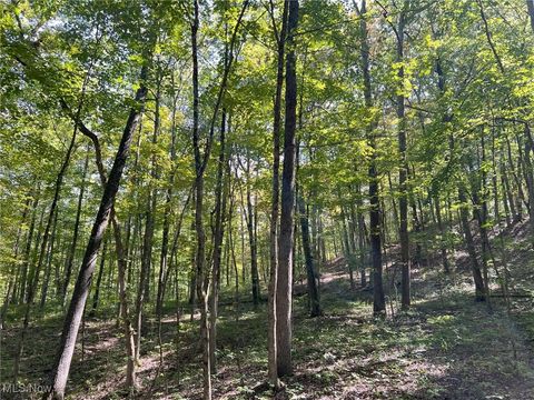Tiny photo for Pipa, Pleasant City, OH 43772 (MLS # 5158231)