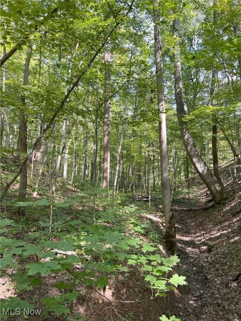 Tiny photo for Pipa, Pleasant City, OH 43772 (MLS # 5158231)