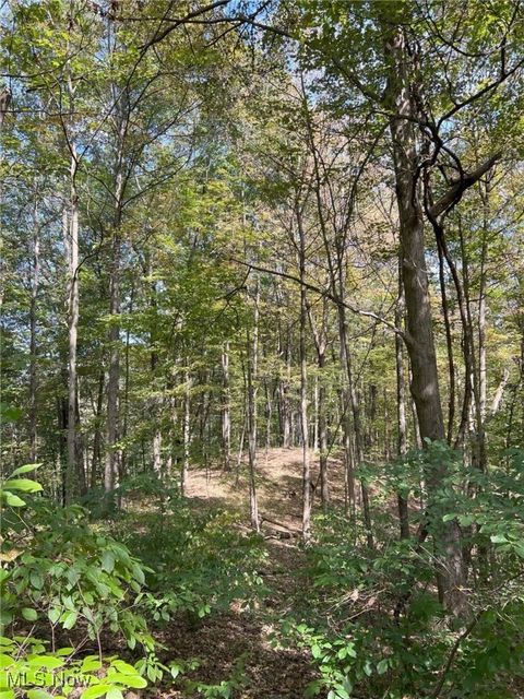 Tiny photo for Pipa, Pleasant City, OH 43772 (MLS # 5158231)