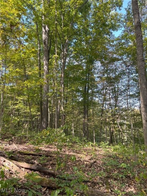 Tiny photo for Pipa, Pleasant City, OH 43772 (MLS # 5158231)