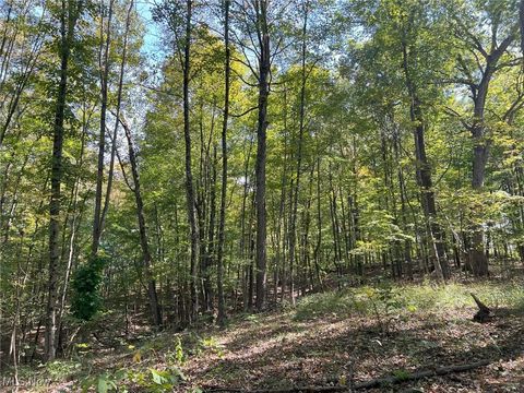 Tiny photo for Pipa, Pleasant City, OH 43772 (MLS # 5158231)
