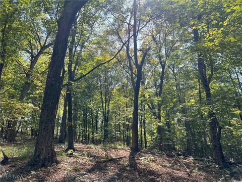 Tiny photo for Pipa, Pleasant City, OH 43772 (MLS # 5158231)