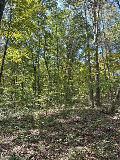 Tiny photo for Pipa, Pleasant City, OH 43772 (MLS # 5158231)