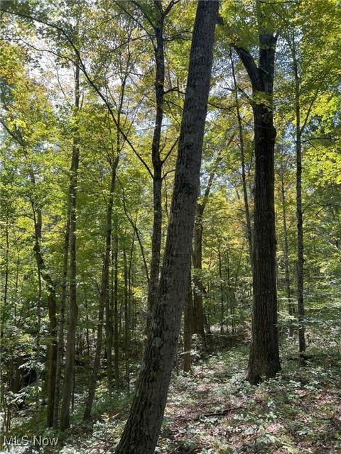 Tiny photo for Pipa, Pleasant City, OH 43772 (MLS # 5158231)