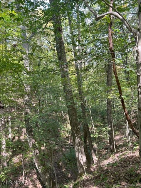 Tiny photo for Pipa, Pleasant City, OH 43772 (MLS # 5158231)