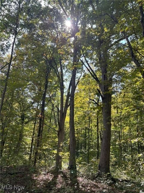 Tiny photo for Pipa, Pleasant City, OH 43772 (MLS # 5158231)