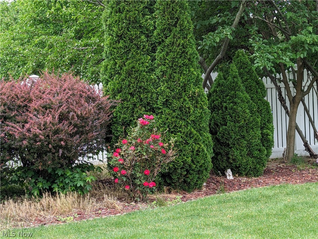 Sherwood Allotment - Residential