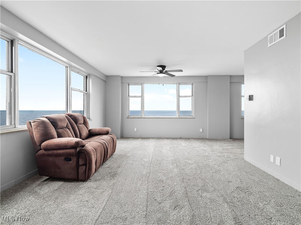 11850 Edgewater Drive #311, Lakewood, Ohio image 9