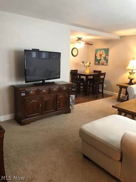 Cuyahoga Manor - Residential