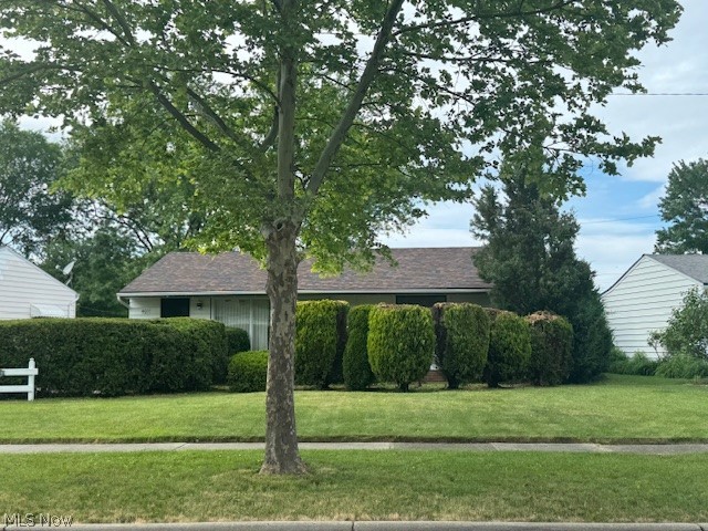 Whether you are an investor or first-time home buyer come embrace the opportunity to transform this 3 bedroom 1.5 bath with great potential property in S Euclid into your dream home. This ranch is very cozy and located on a quiet street within mins from mall, restaurants and shopping plazas.