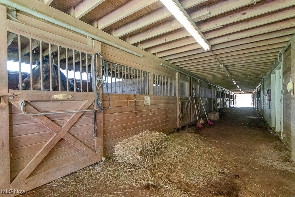 14110 Caves Road, Novelty, Ohio image 33