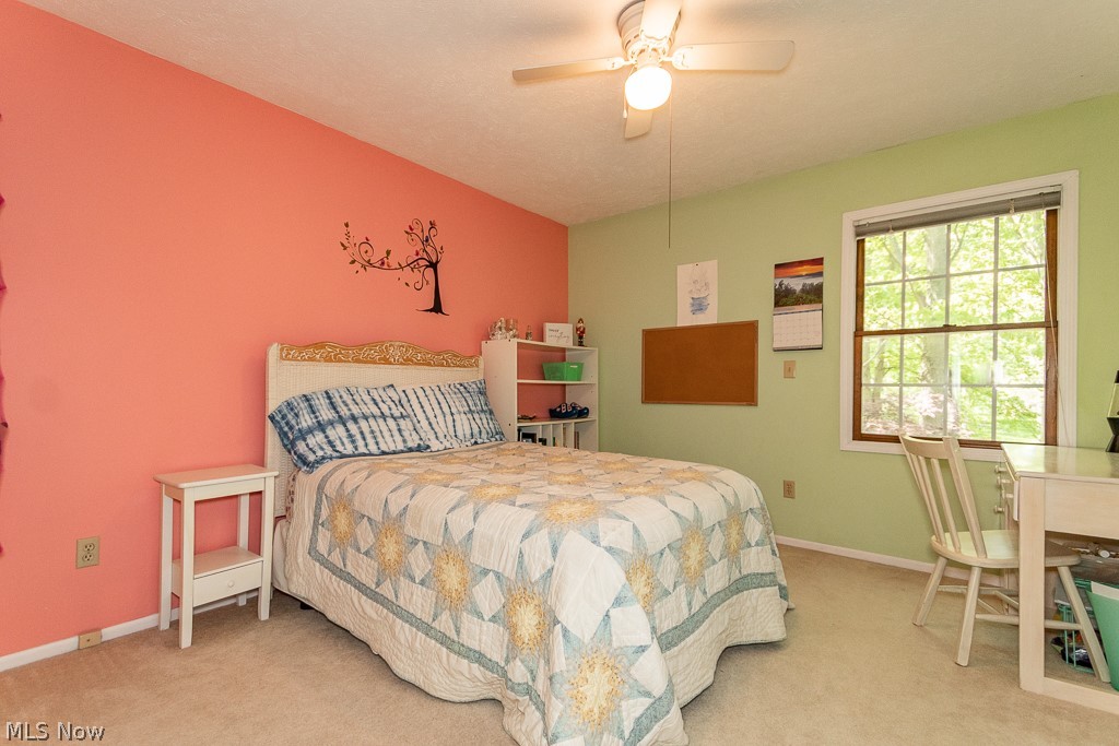 Winchester Woods - Residential