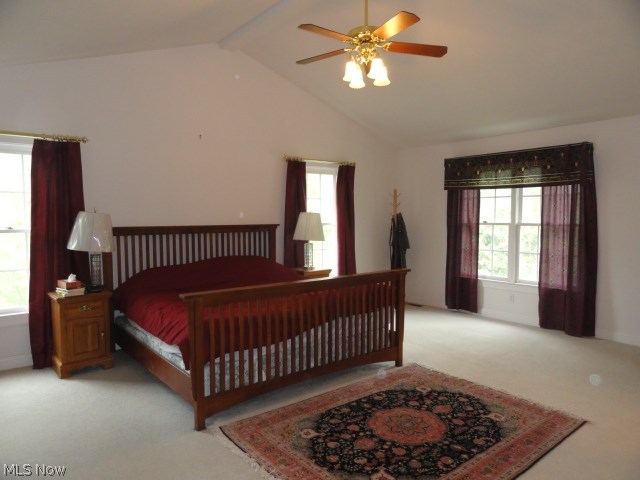 Village West - Residential